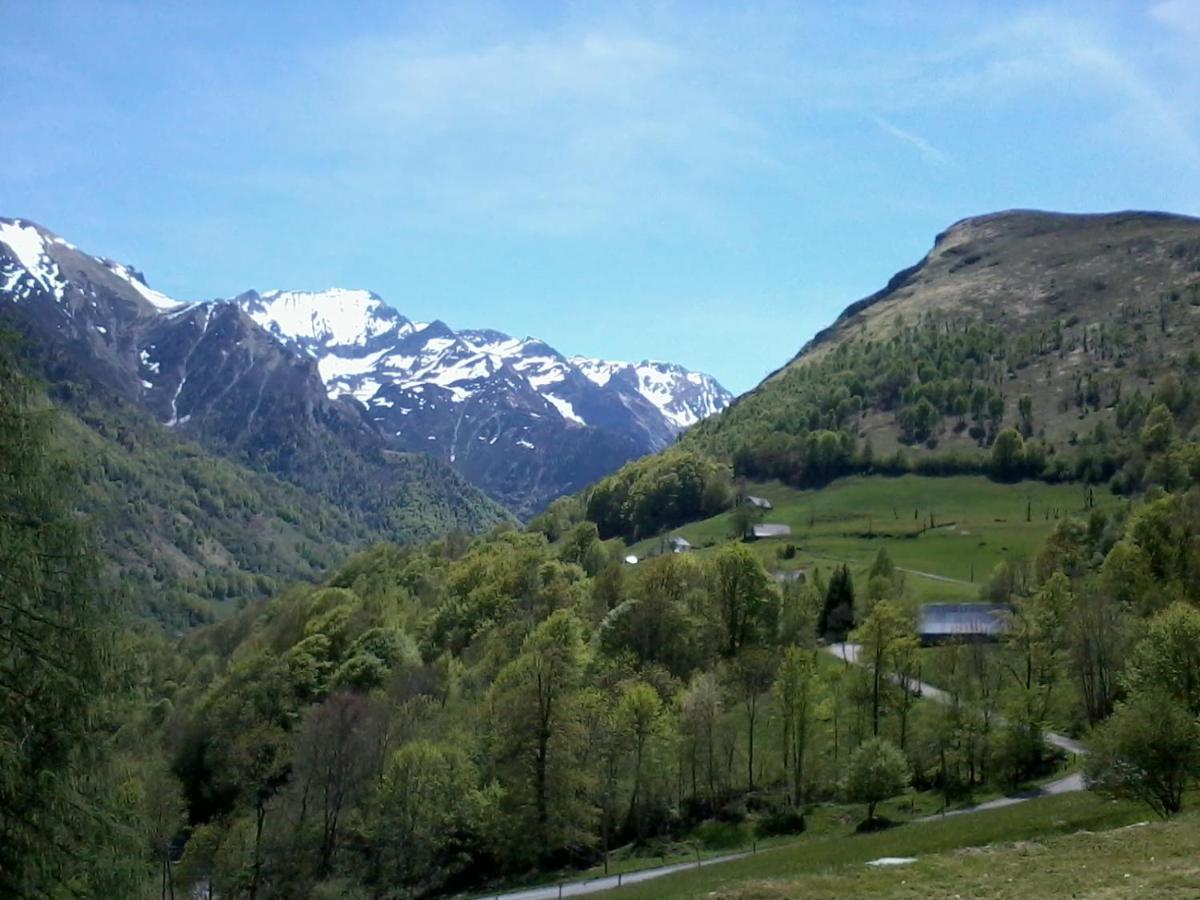 Appartement Habas Estaing Hautes Pyrenees Val D'Azun Exterior photo
